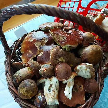 Chata&apartmán Nová Mýtina
